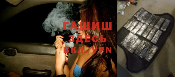 дмт Богданович