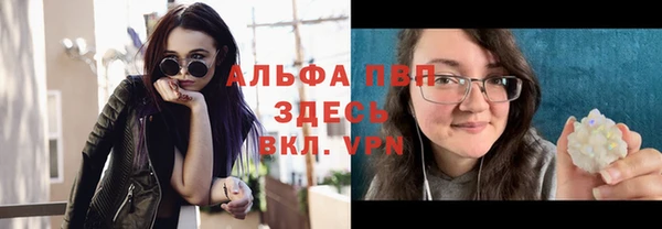 дмт Богданович
