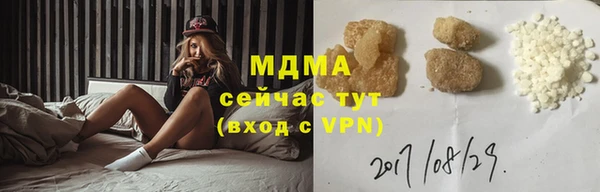дмт Богданович