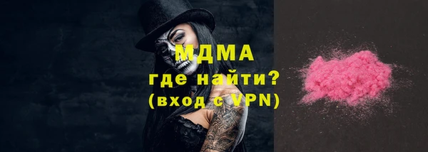 дмт Богданович