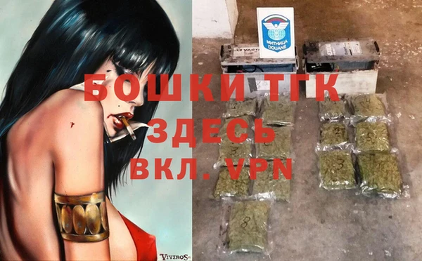 дмт Богданович