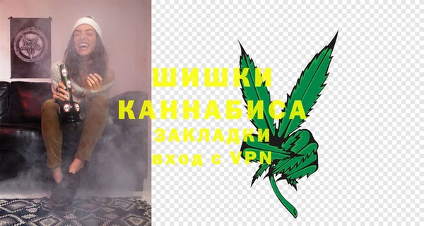 дмт Богданович