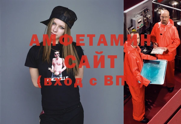 дмт Богданович