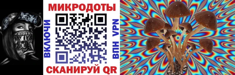 Галлюциногенные грибы Psilocybe  дарнет шоп  Кологрив 