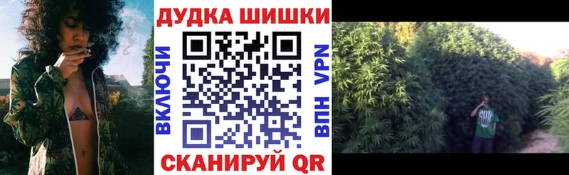 Шишки марихуана гибрид Кологрив